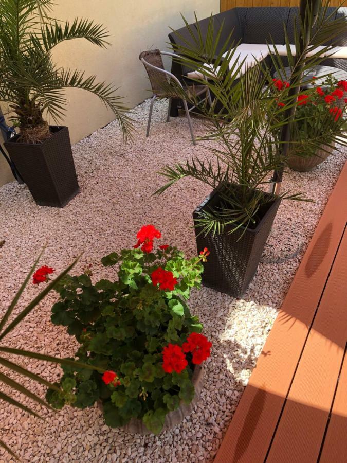 Mosoly Apartman سيغيد المظهر الخارجي الصورة